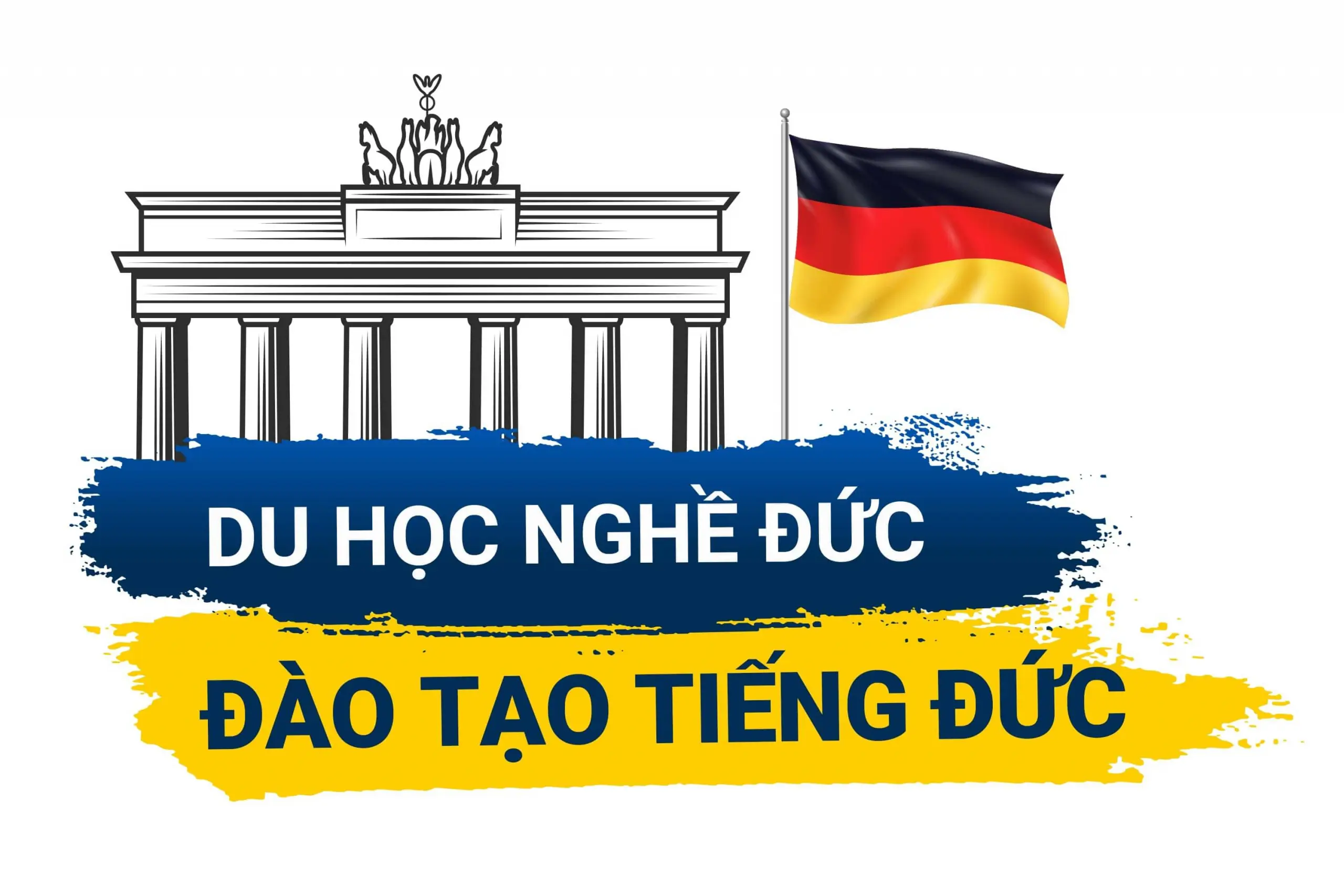 Top 5 Trung tâm Du học Uy tín tại Lâm Đồng - Nơi Chắp Cánh Giấc Mơ Du học