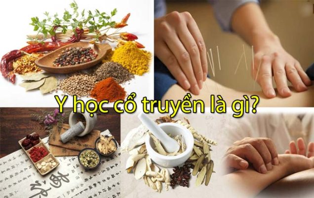 Top 5 Trường đào tạo Trung Cấp Y Học Cổ Truyền Tại Bà Rịa – Vũng Tàu