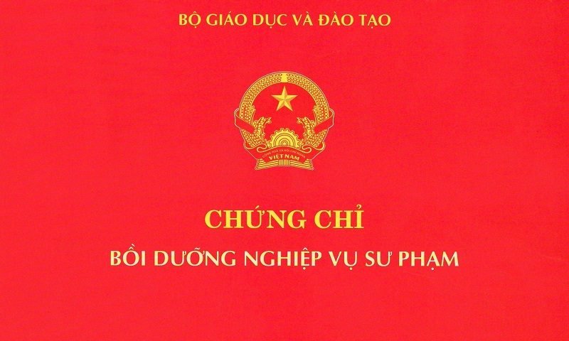 Top 7 Trường Đào Tạo Chứng Chỉ Nghiệp Vụ Sư Phạm Tốt Nhất Tại TPHCM