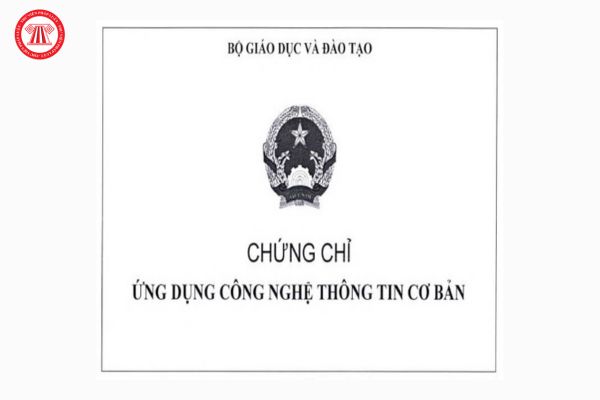 Thi Chứng Chỉ Tin Học Tại Cà Mau