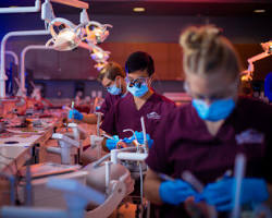 Hình ảnh về College dental program