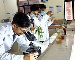 Hình ảnh về Students in a Pharmacy Lab