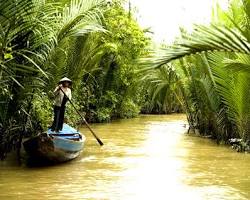 Hình ảnh về Ben Tre coconut trees and river