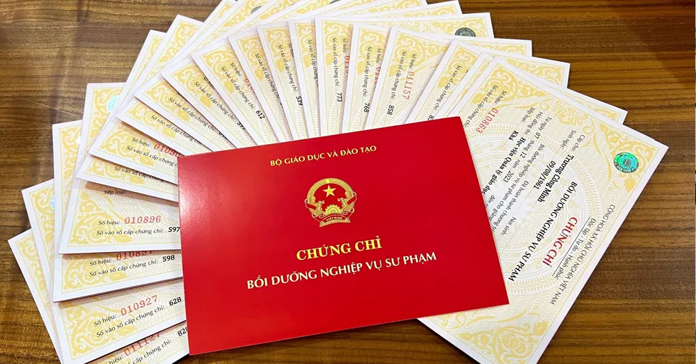 Top 9 Trường đào tạo Chứng chỉ Nghiệp vụ sư phạm Cấp tốc tại TpHCM