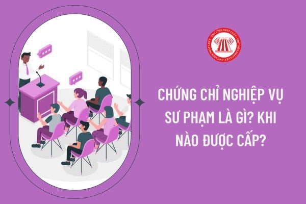 Top 9 Trường đào tạo Chứng chỉ Nghiệp vụ sư phạm Cấp tốc tại TpHCM