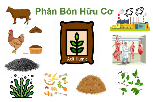 Chứng Chỉ Bán Phân Bón Tại Bình Phước: Điều Kiện Kinh Doanh Bắt Buộc