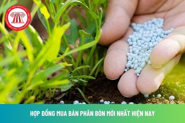 CHỨNG CHỈ BÁN PHÂN BÓN TẠI VĨNH LONG: CẨM NANG TOÀN DIỆN