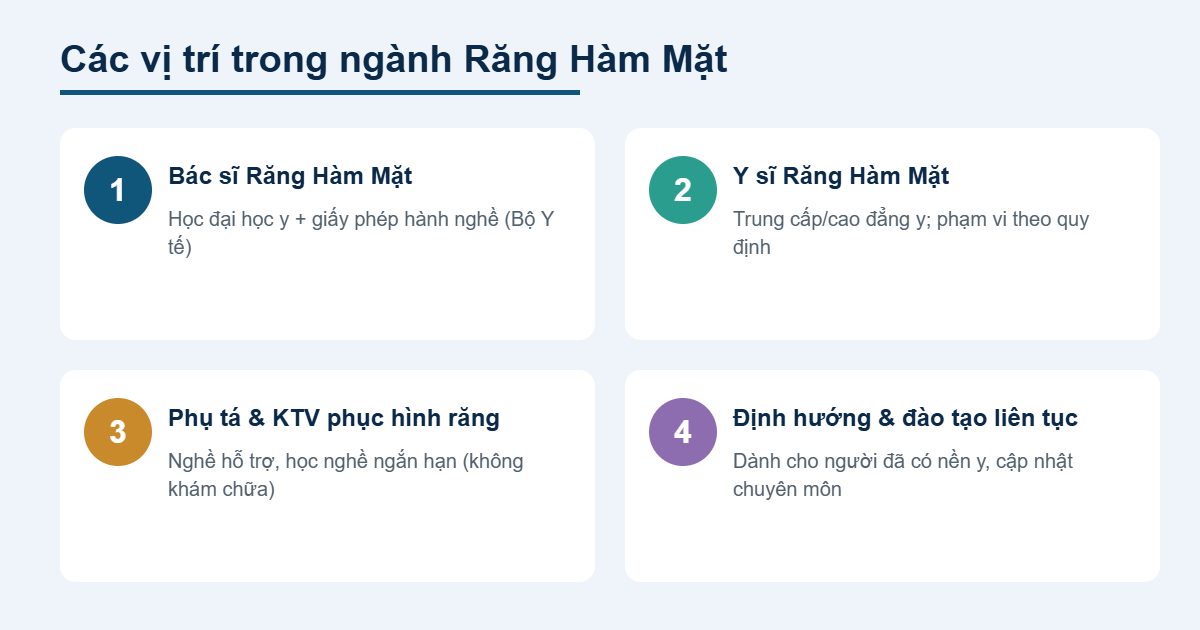 Lộ trình nghề ngành Răng Hàm Mặt