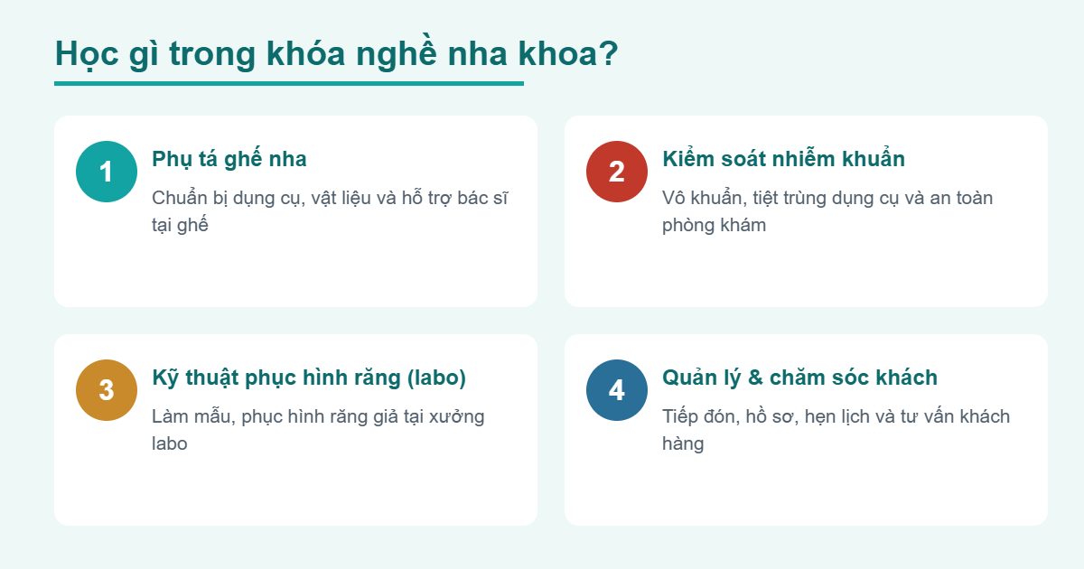 Nội dung khóa nghề nha khoa - phụ tá và kỹ thuật viên