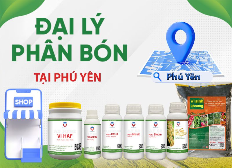 Top Trường đào tạo Chứng chỉ Bán Phân bón Uy tín tại Phú Yên