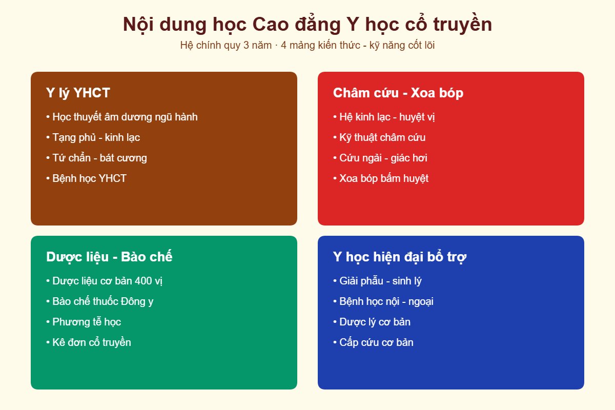 Nội dung học Cao đẳng Y học cổ truyền