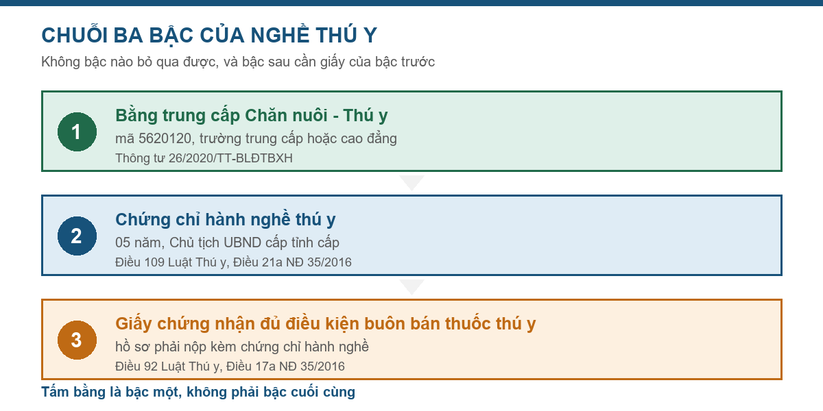 Sơ đồ chuỗi ba bậc từ bằng trung cấp Chăn nuôi Thú y tới giấy phép cửa hàng thuốc thú y