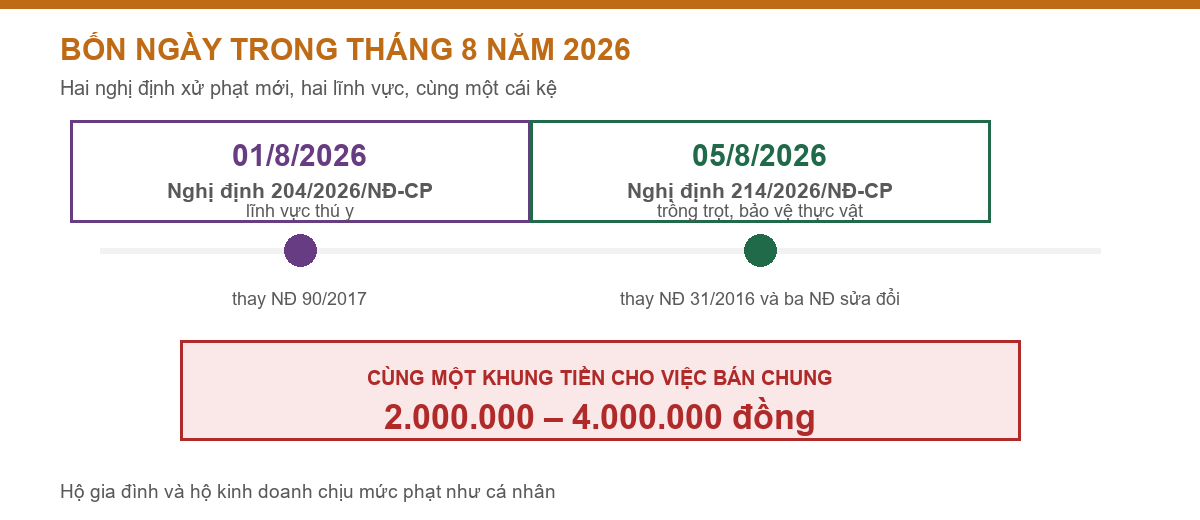 Trục thời gian hai nghị định xử phạt có hiệu lực trong tháng 8 năm 2026