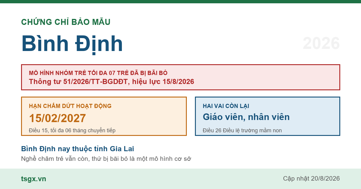 Chứng chỉ bảo mẫu tại Bình Định năm 2026, mô hình nhóm trẻ độc lập quy mô tối đa 07 trẻ đã bị Thông tư 51/2026/TT-BGDĐT bãi bỏ