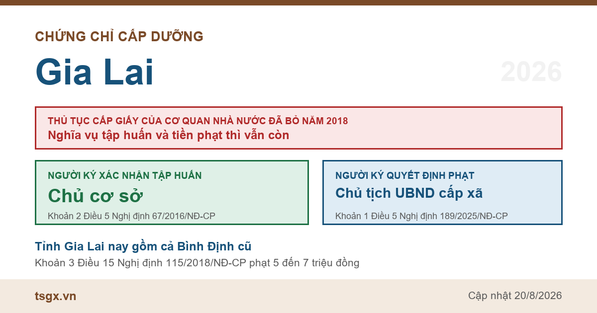 Chứng chỉ cấp dưỡng tại Gia Lai năm 2026, ai ký giấy xác nhận tập huấn và ai ký quyết định xử phạt bếp ăn