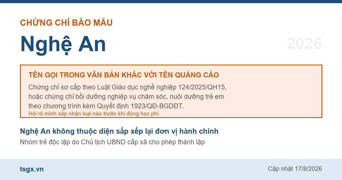 Hai loại chứng chỉ đứng sau tên gọi chứng chỉ bảo mẫu tại Nghệ An năm 2026