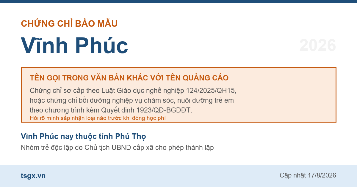 Hai loại chứng chỉ đứng sau tên gọi chứng chỉ bảo mẫu tại Vĩnh Phúc năm 2026