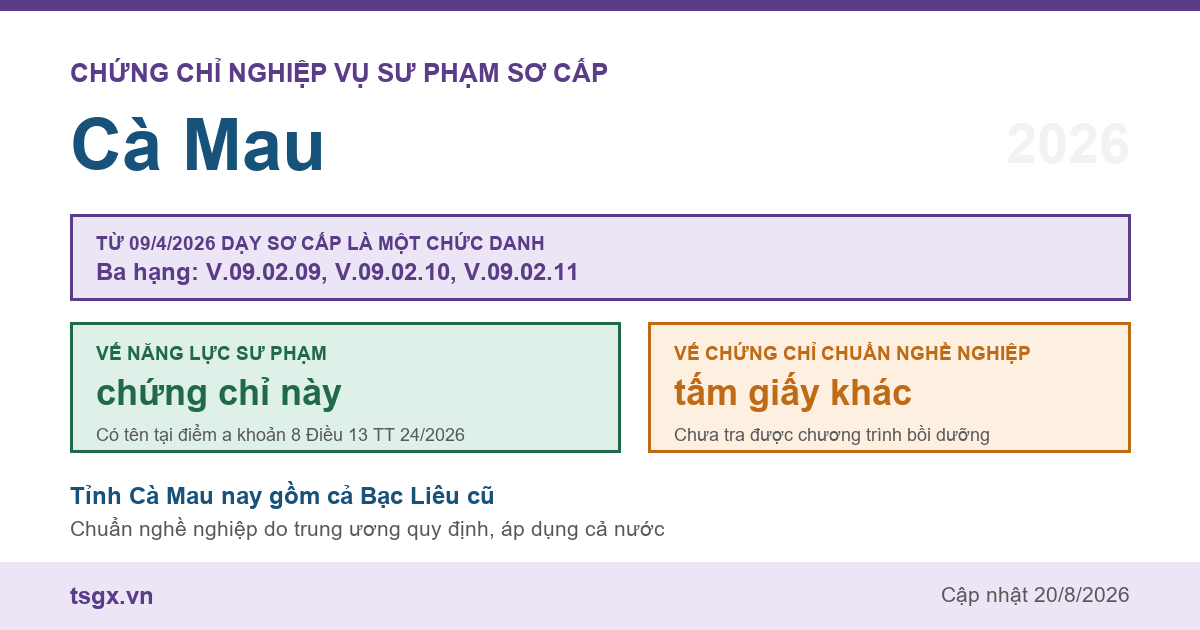 Chứng chỉ Nghiệp vụ Sư phạm sơ cấp tại Cà Mau năm 2026, chức danh giáo viên sơ cấp ba hạng