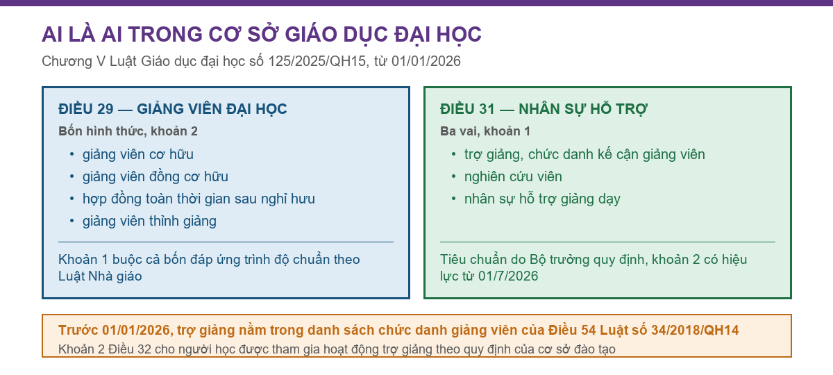 Sơ đồ Điều 29 về giảng viên đại học và Điều 31 về nhân sự hỗ trợ giáo dục đại học theo Luật Giáo dục đại học số 125/2025/QH15