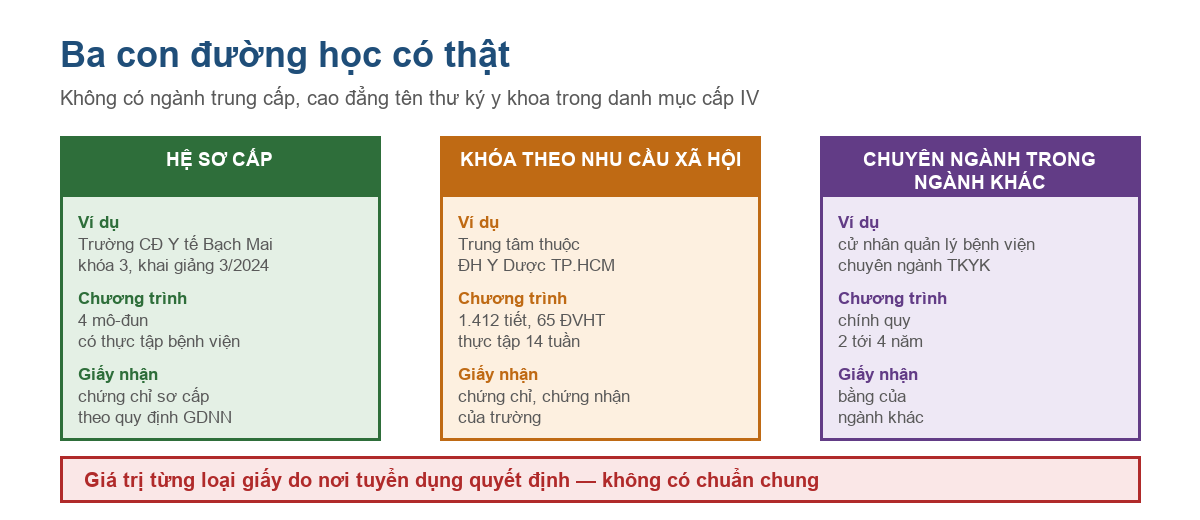 Bảng ba con đường học thư ký y khoa và loại giấy nhận được của từng đường