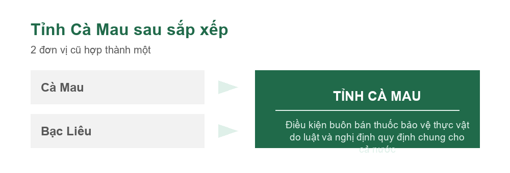 Sơ đồ sắp xếp đơn vị hành chính hình thành tỉnh Cà Mau