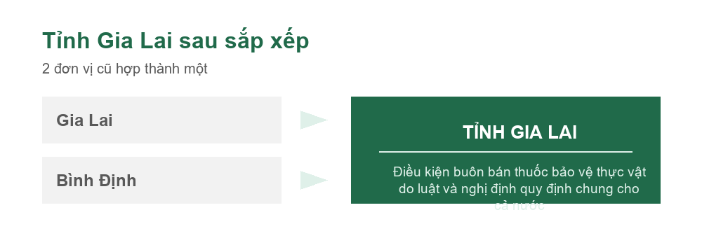 Sơ đồ sắp xếp đơn vị hành chính hình thành tỉnh Gia Lai